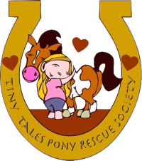 Tiny Tales 2024 Fall 50/50 Fundraiser for the Ponies